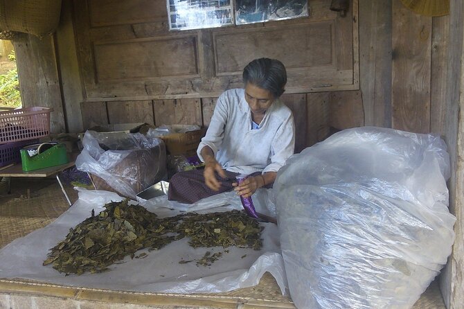 Private Tour in Chiang Mai Village Experience Nature - Who Will Enjoy This Day Most