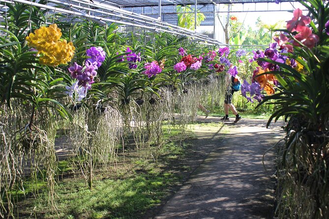 Private tour] Perfect day! Sticky waterfall + ChiangDao Cave + Wat BandenTemple - Wat Ban Den and its many buildings