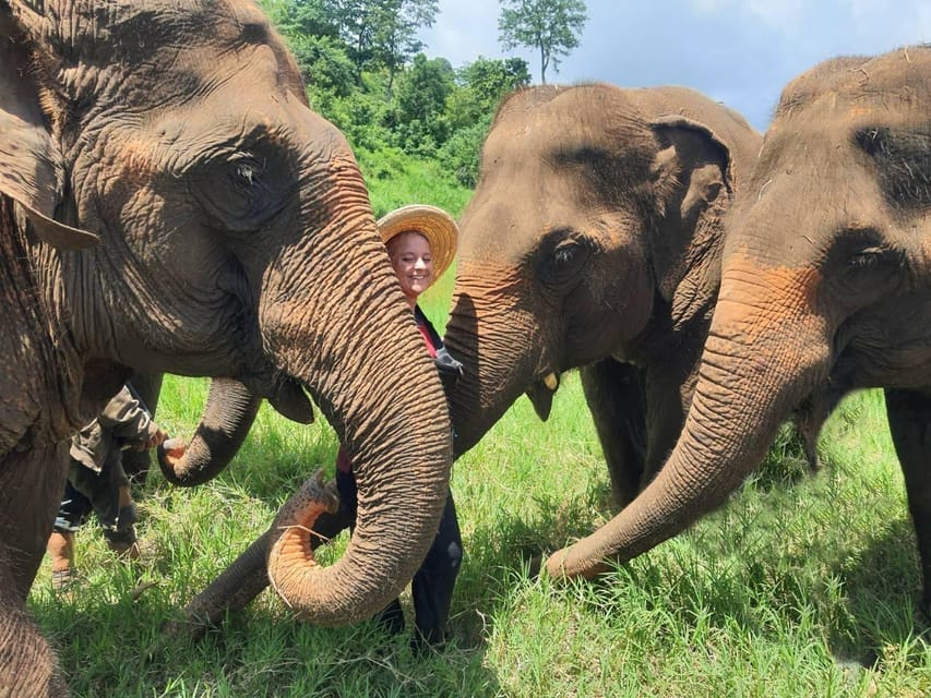 Rantong elephant sanctuary Chiangmai - Bathing time and the question of ethics