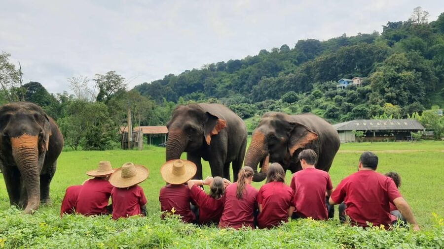Rantong elephant sanctuary Chiangmai - Food, water, and changing clothes included