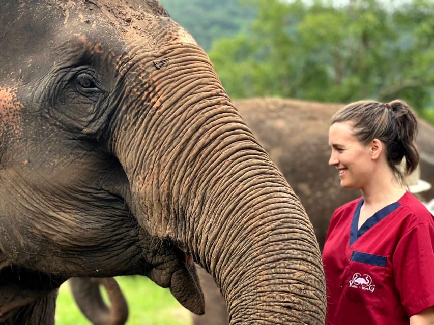 Rantong elephant sanctuary Chiangmai - Who will get the most from this visit