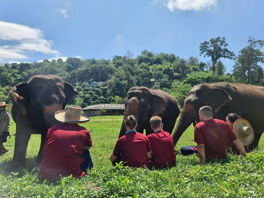 Rantong elephant sanctuary Chiangmai - Booking details that affect your decision