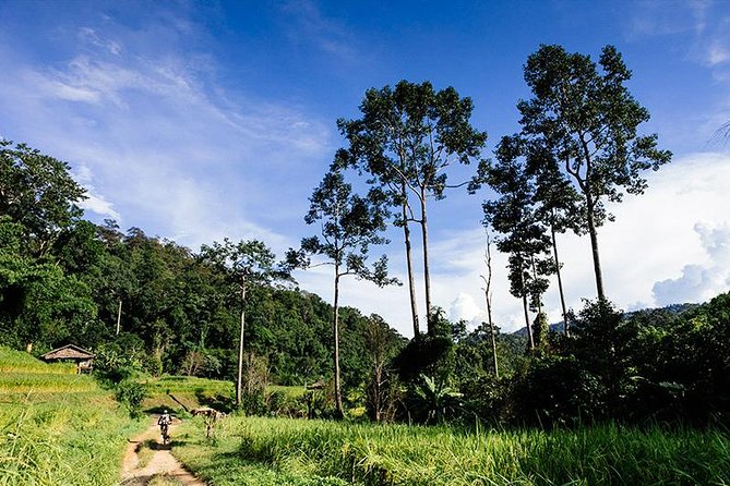 Rural Explorer Mountain Biking Tour Chiang Mai - From Chiang Mai streets to Mork Fa Waterfall