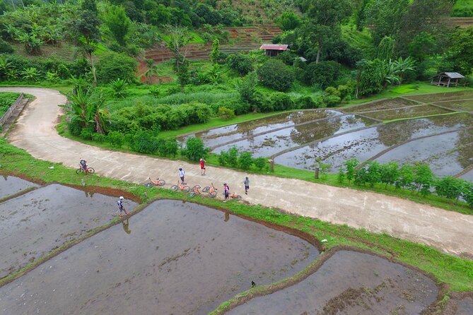 Rural Explorer Mountain Biking Tour Chiang Mai - Is $81.44 good value?