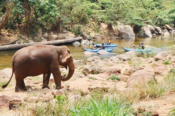 Safety whitewater rafting in Chiangmai by Khampan Rafting - Seeing elephants from the river