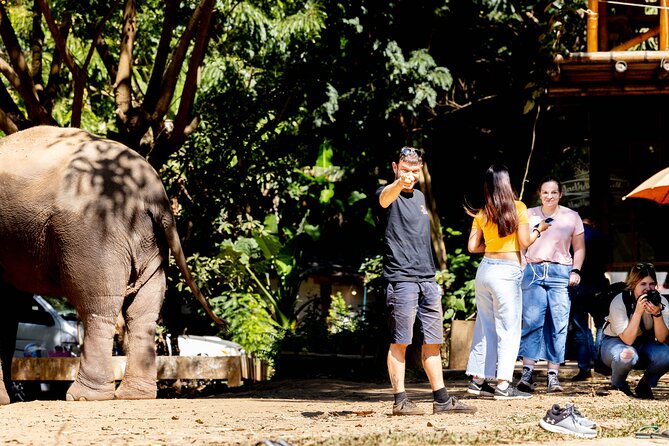 Scooter Adventure with elephants, views and FUN drive yourself - Why this scooter day feels different from a city tour