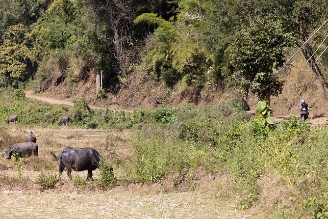 Scooter Adventure with elephants, views and FUN drive yourself - Practical planning for an eight-hour ride