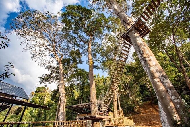 Sky Hawk Zipline Experience in Chiang Mai - Is $45.95 good value?