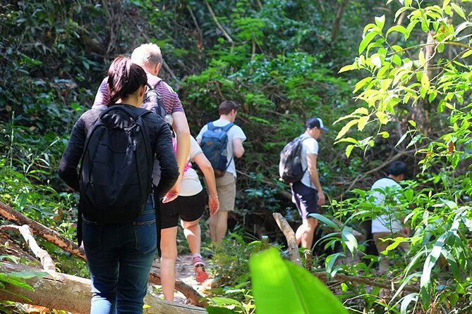 Small Group : Trekking Trip in Chiang Mai (Doi Suthep Area) with Market Tour - Doi Suthep Temple Before the Trail