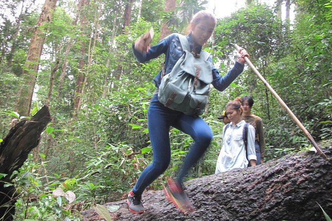 Small Group : Trekking Trip in Chiang Mai (Doi Suthep Area) with Market Tour - A Downhill Walk Through Doi Suthep-Pui