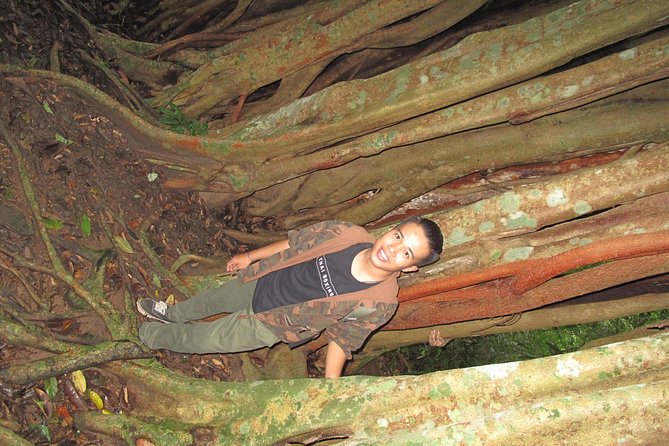 Small Group : Trekking Trip in Chiang Mai (Doi Suthep Area) with Market Tour - Khao Soi and a Local Lunch