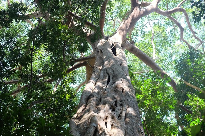 Small Group : Trekking Trip in Chiang Mai (Doi Suthep Area) with Market Tour - What the Small Group Really Adds