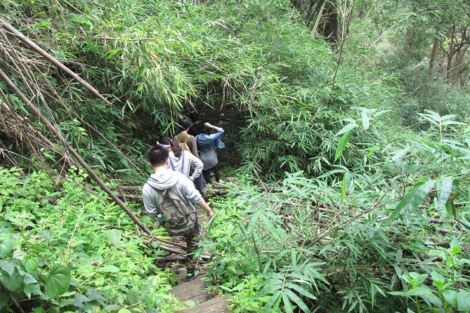 Small Group : Trekking Trip in Chiang Mai (Doi Suthep Area) with Market Tour - Who Will Enjoy This Chiang Mai Trek