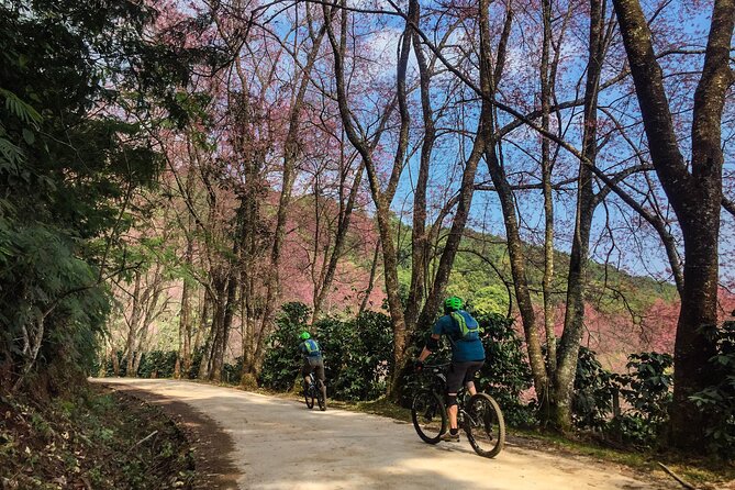 Smoke on the Water Trail Mountain Biking Tour Chiang Mai - Lunch, drinks, and the value of the package