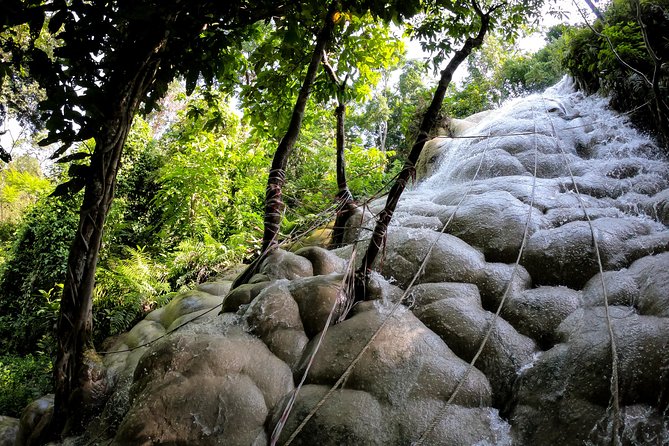 Sticky Waterfall Cycling Tour - Key points to know before you book