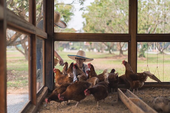 Sunset Thai Cooking with Grandma - Farm & Evening Feast - The dishes that make the class worthwhile