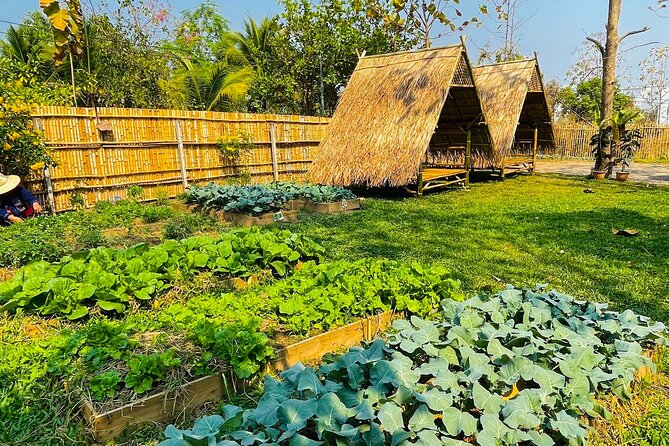 Team Aim Thai Cooking School (#1 Cooking Class in Chiang Mai) - What the five-and-a-half-hour schedule feels like