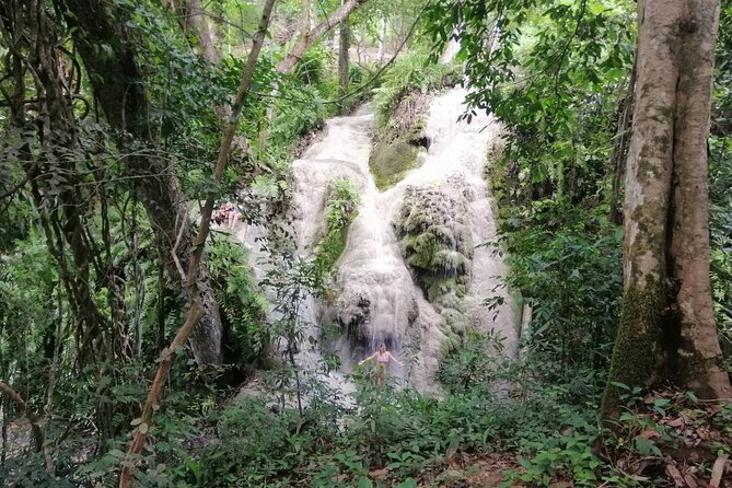 The Best Full Day Tour: Doi Suthep, Wat Phalat, Sticky Waterfall - Bua Thong Sticky Waterfall: the day’s active finish