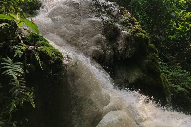 The Best Full Day Tour: Doi Suthep, Wat Phalat, Sticky Waterfall - What the guides add to the day