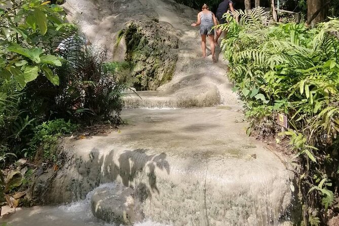 The Best Full Day Tour: Doi Suthep, Wat Phalat, Sticky Waterfall - Is $48.67 a fair price?