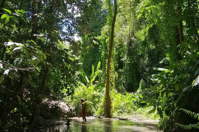 The Best Full Day Tour: Doi Suthep, Wat Phalat, Sticky Waterfall - Who should book this tour?