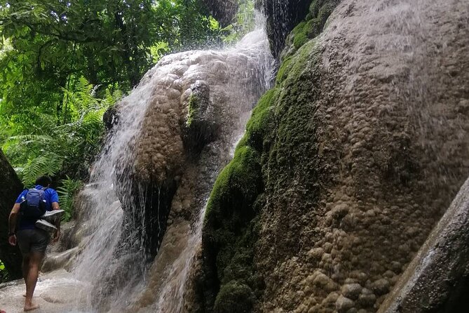 The Best Full Day Tour: Doi Suthep, Wat Phalat, Sticky Waterfall - Wat Pha Lat: the quiet forest pause