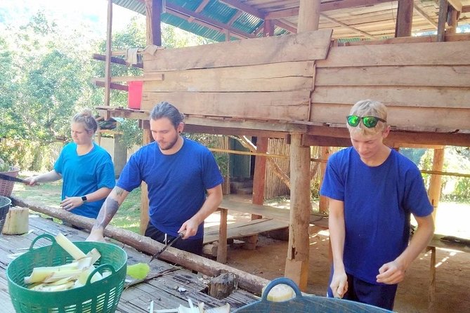 Top Pick - Full or Half Day @Elephant in Wild Sanctuary ChiangMai - Lunch, water, and what to bring