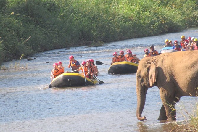 Top Pick - Full or Half Day @Elephant in Wild Sanctuary ChiangMai - Rafting through the rainforest