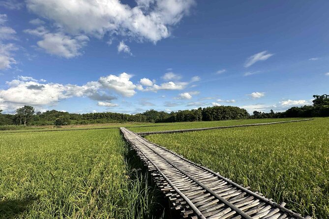 Unseen Sukhothai Province 2 Days 1 Night Private Tour - A morning offering and local noodle soup