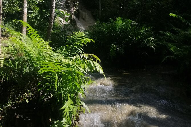 Visit Dantewada(Angel Land), Blue Temple, and Sticky Waterfall - Dantewada Angel Land, a colorful opening stop