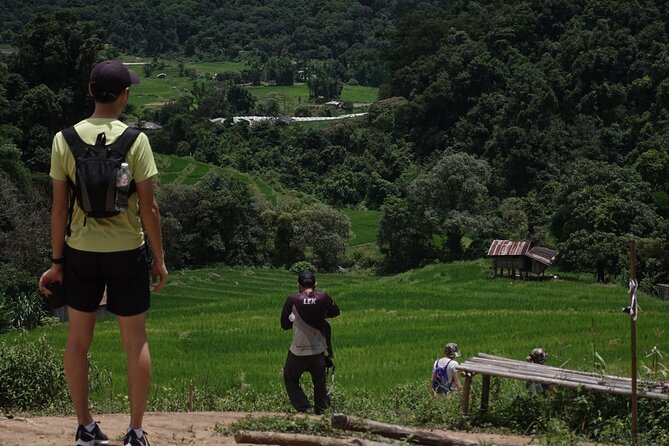 Waterfall Wanderer Doi Inthanon Hiking Tour - Transport, timing, and group size