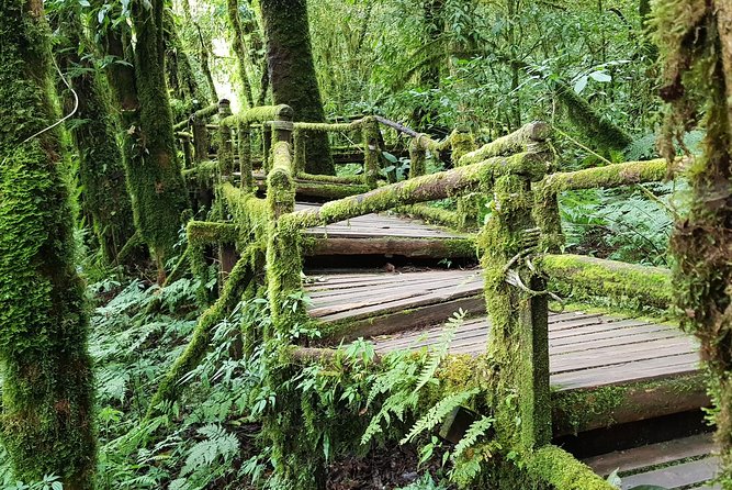 Wow! Doi Inthanon National Park Adventure, Lunch & Entry Included - The long road from Chiang Mai to Doi Inthanon