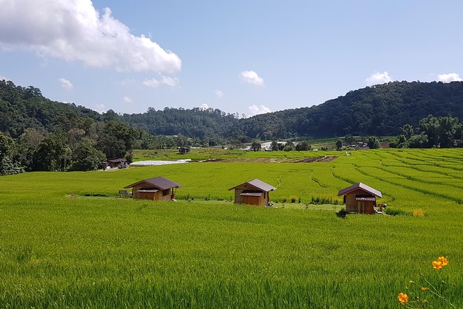 Wow! Doi Inthanon National Park Adventure, Lunch & Entry Included - Reaching the summit without a strenuous hike