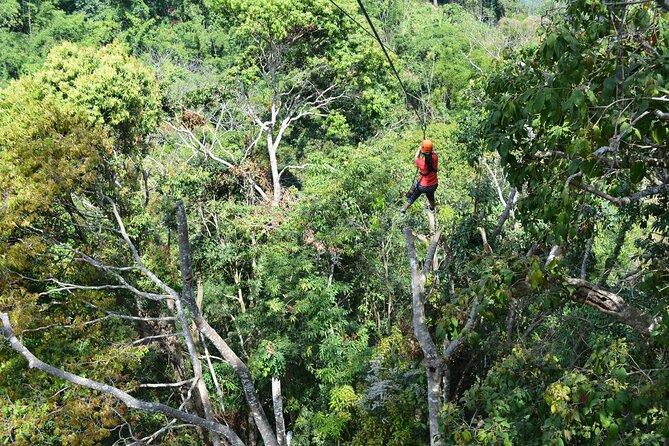 Zipline Adventure at Skyline Jungle Luge Chiang Mai - Lunch with a view, but modest expectations